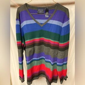 Liz Claiborne Colorful Striped V-Neck Sweater